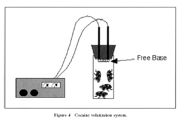 Freebase.jpg