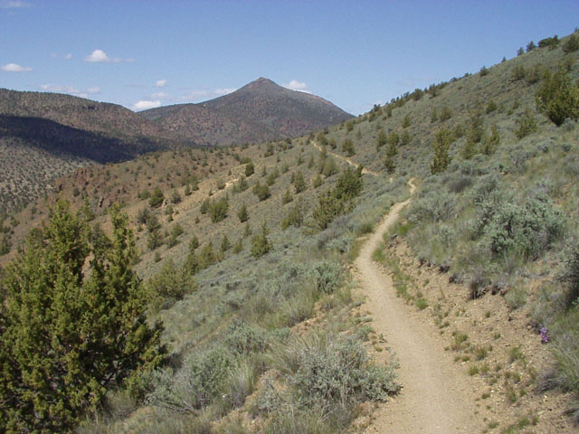 Smith singletrack.jpg