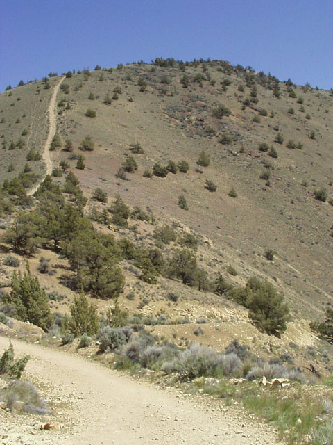 Steep trail.jpg